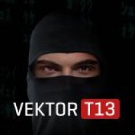 Vektor T13